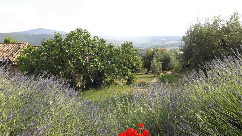 Casa Lorenzo Panicale Luaran gambar